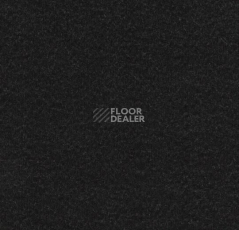 Линолеум Forbo Marmoleum Decibel on Order 12335 black фото 1 | FLOORDEALER